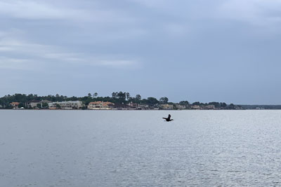 Welcome to Lake Conroe, Texas, Houston area